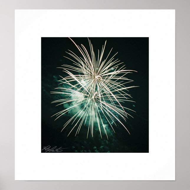 Poster Feux verts (Devant)