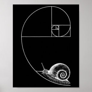 Poster Fibonacci Avec Escargot Mathématiques Mathématique