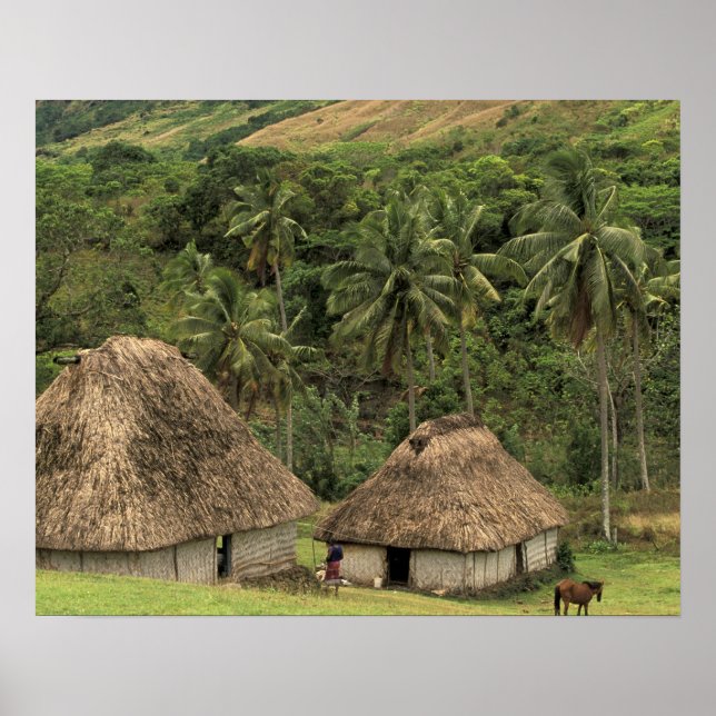 Poster Fidji, Viti Levu, Navala, maisons traditionnelles  (Devant)