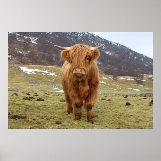 Poster Fier D'Être Écossais ! (Devant)