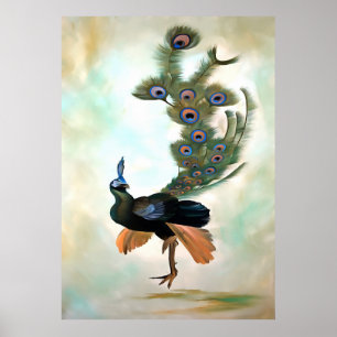 Poster Fière Comme Un Peacock Colorful Courtship Display