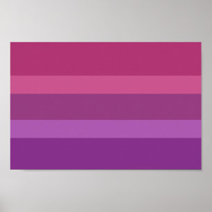 Poster Fierté Aceflux