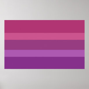 Poster Fierté Aceflux