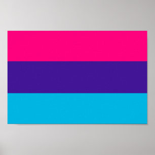 Poster Fierté androgyne