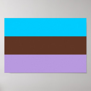 Poster Fierté androsexuelle