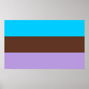 Poster Fierté androsexuelle