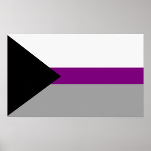 Poster Fierté demisexuelle