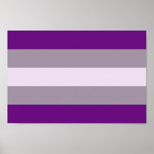 Poster Fierté Greysexuée