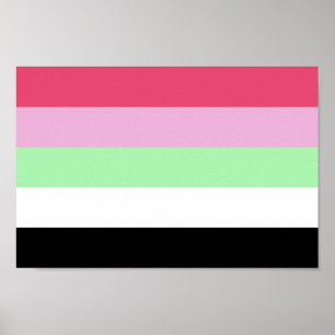 Poster Fierté récipromantique