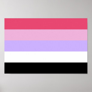 Poster Fierté Réciprosexuelle