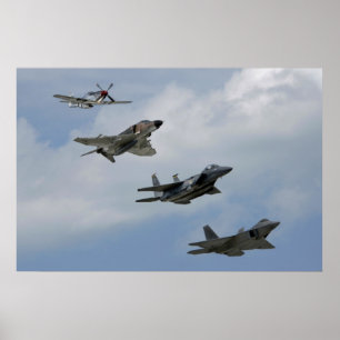 Poster Fighter Evolution