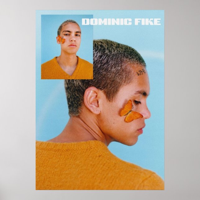 POSTER FIKE DOMINIQUE (Devant)