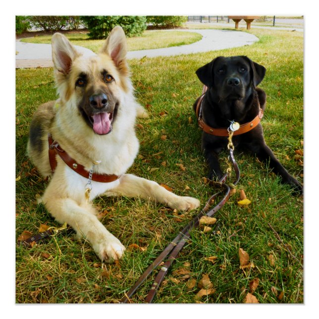 Poster Filles de travail (Devant)