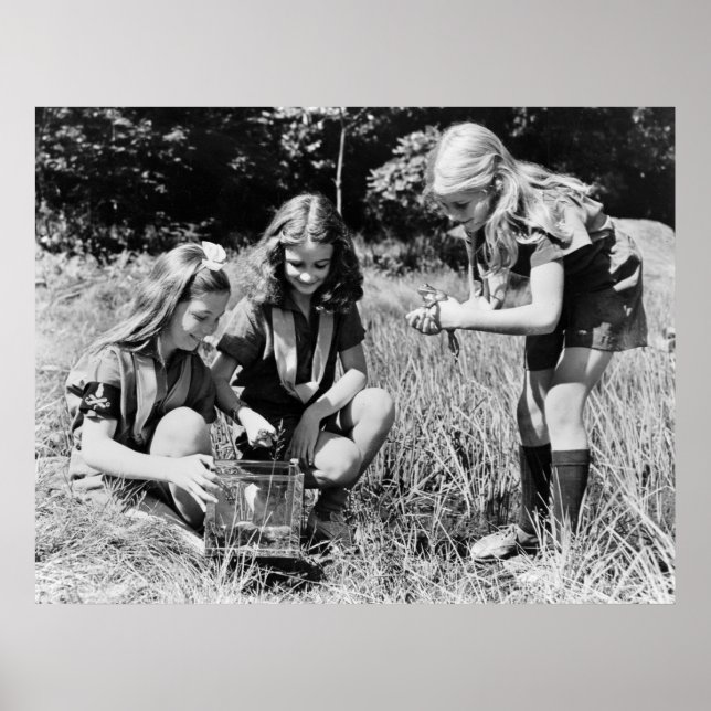 Poster Filles ramassant des grenouilles, années 1940 (Devant)