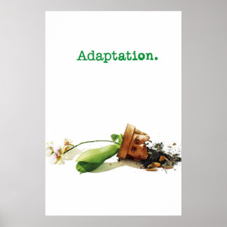Poster Film Adaptation 2002