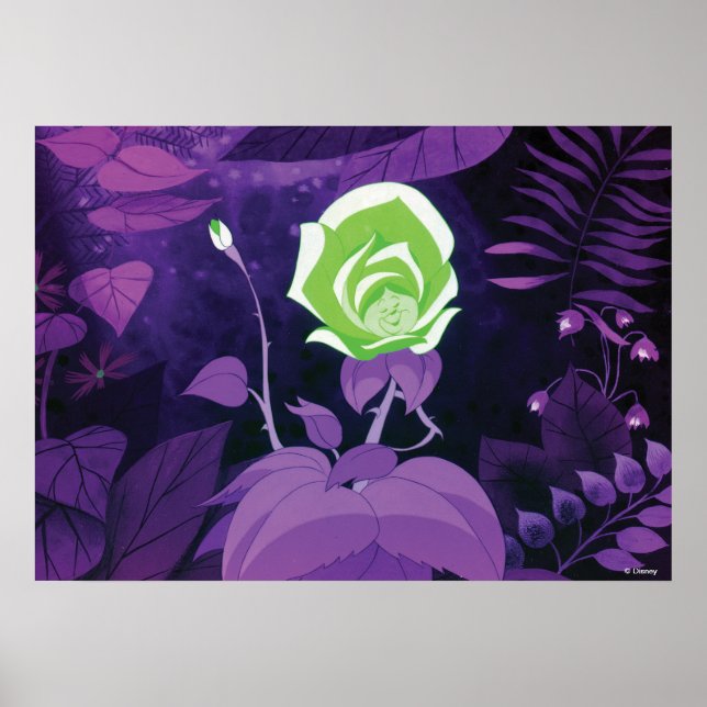 Poster Film de fleurs de jardin encore (Devant)