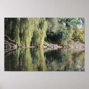 Poster Fils Reflétés Dans La Rivière