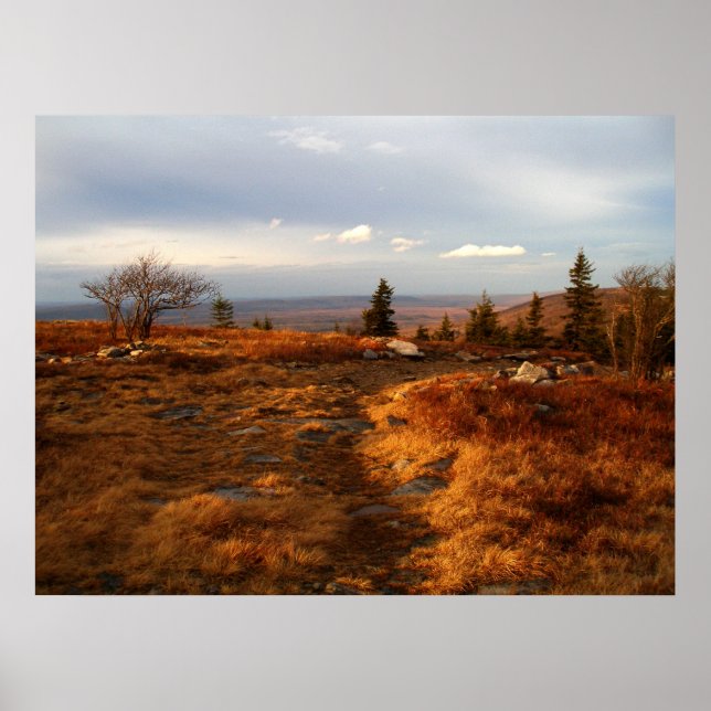 Poster Fin de l'après-midi sur les Sods (Devant)