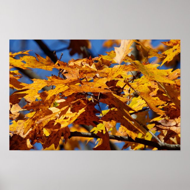 Poster Fin de l'automne (Devant)