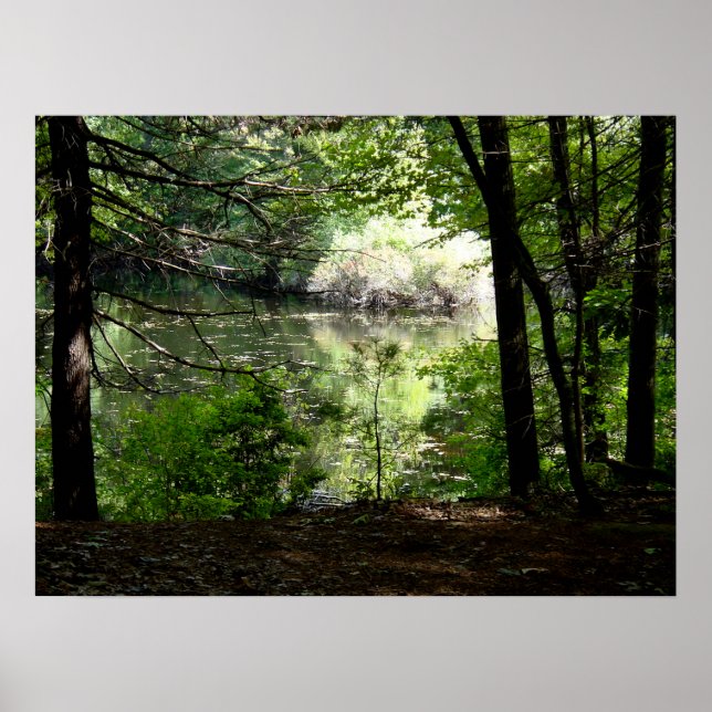 Poster Fin de l'été à Walden Pond (Devant)