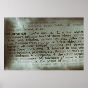 Poster Finding Meanings - Tolerance