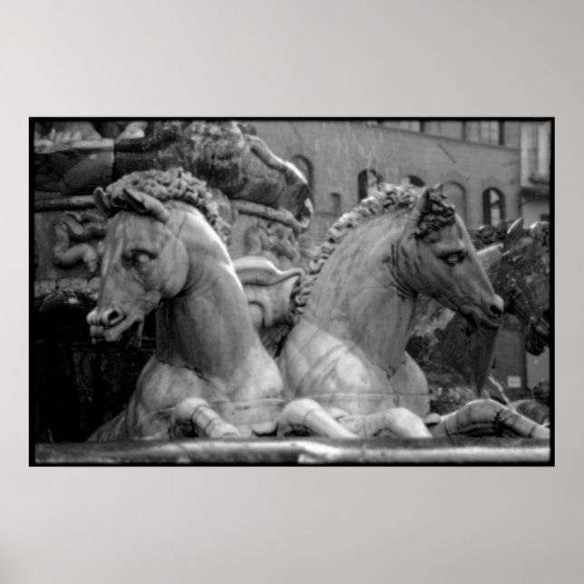 Poster Firenze (Devant)