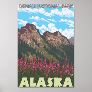 Poster Fireweed et montagnes - parc national de Denali,