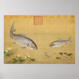 Poster Fish & Aquatic Plants by Giuseppe Castiglione