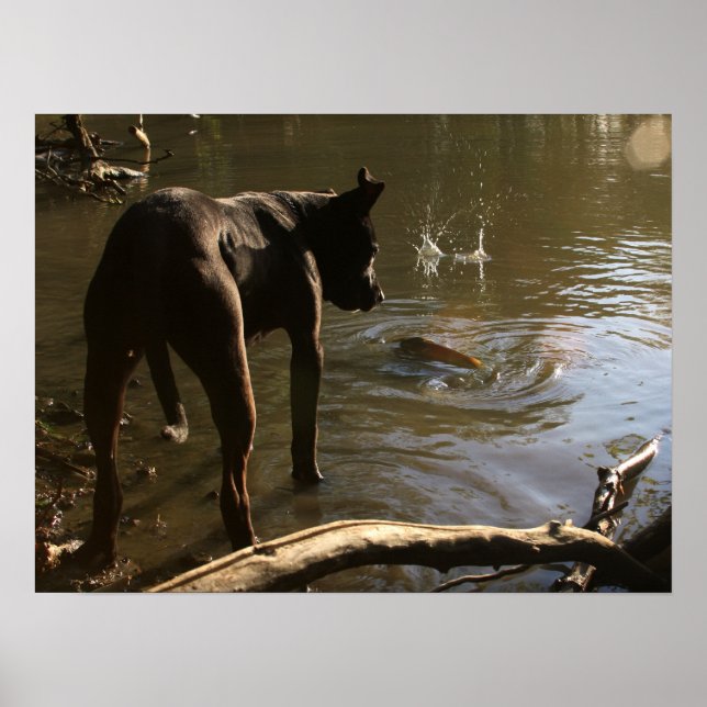 Poster Fishin' Pit Bull (Devant)