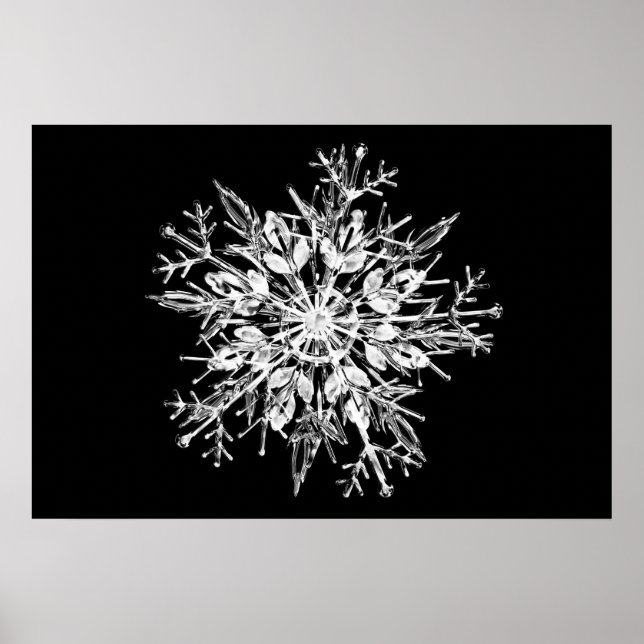 Poster Flacon de neige en cristal de glace (Devant)