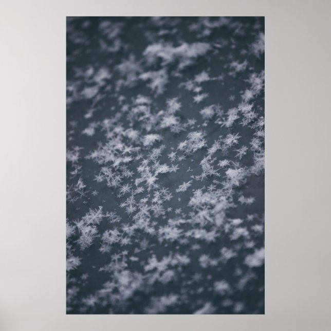 Poster Flacons de neige (Devant)