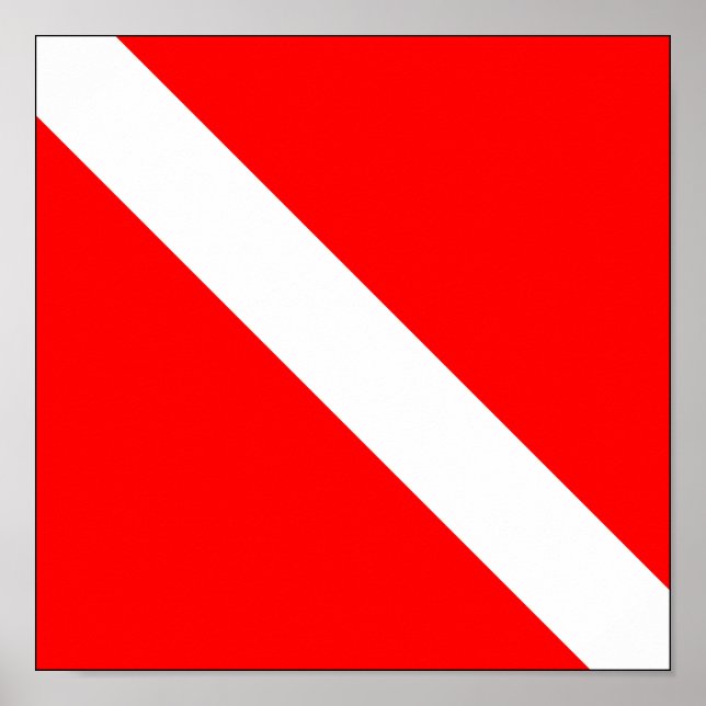 Poster Flag de Diver Down (Devant)