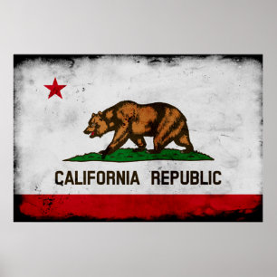 Poster Flag de Grunge