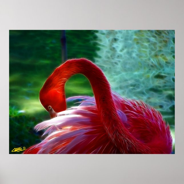 Poster Flamant rose (Devant)