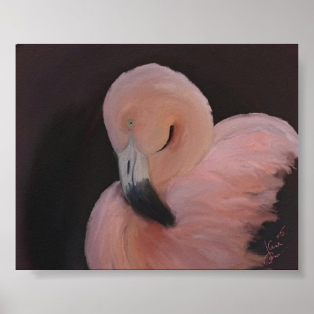Poster Flamant rose (Devant)