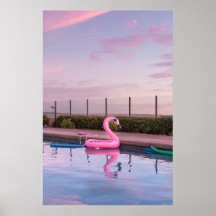Poster Flamant rose flotteur dans la piscine
