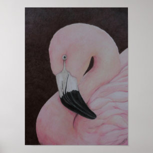 Poster Flamant rose Original Bird Art Imprimer