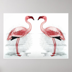Poster FLAMANT ROSE PARKING Flamant rose Flock Art Imprim
