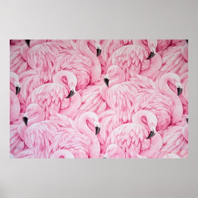 POSTER FLAMANT ROSE PARTOUT (Devant)