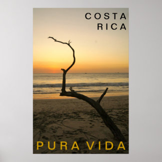 Poster Flamant rose PURA VIDA Playa