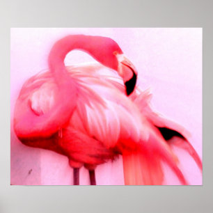 Poster Flamant rose rose