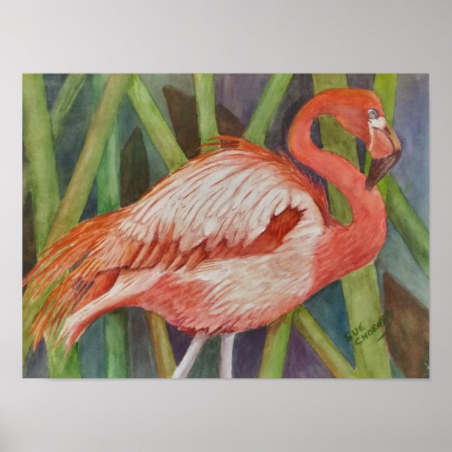 Poster Flamant rose rose exceptionnel (Devant)