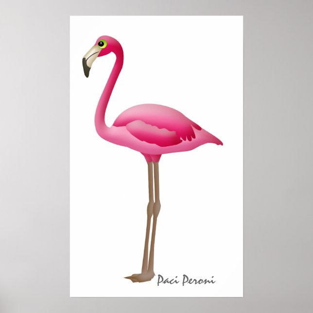 POSTER FLAMANT ROSE - SRF (Devant)