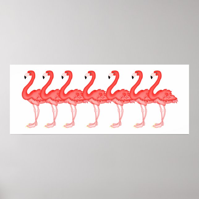 POSTER FLAMANT ROSE - SRF (Devant)