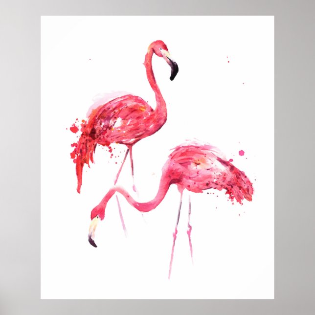 Poster Flamants aquarelles (Devant)
