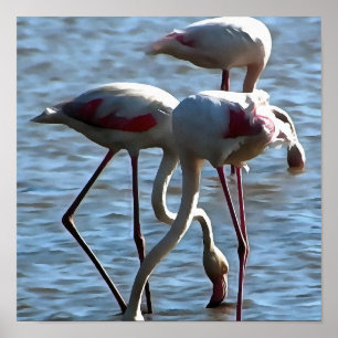 Poster Flamants roses Temps d'alimentation Peinture acryl