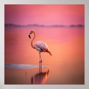 Poster Flamingo Grace Blush Or