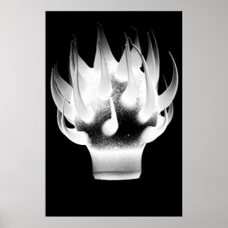 Poster Flamme blanche