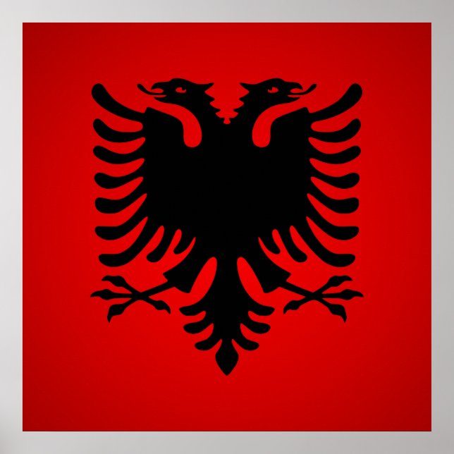 Poster Flamuri i shqiperise (Devant)