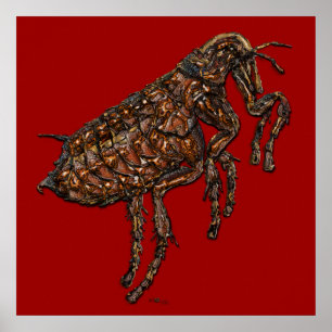 Poster Flea sur rouge foncé